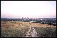 the city core from Nose Hill - 35 kb