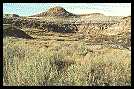 a badland hill - this link gives you four more photos of the valley badlands (110 kb).