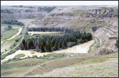 view of ponds and West Viewpoint (50kb)