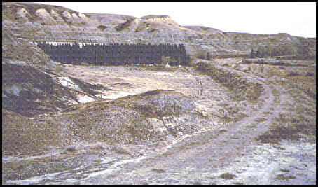old railway roadbed, looking east (39 kb)