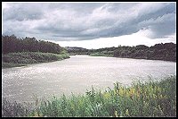 The Red Deer river - 76 kb