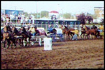 the chuckwagons
line up at the 
starting line  (213 kb)