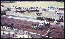 Chuckwagons 
begin by assembling 
in the infield.  (273 kb)